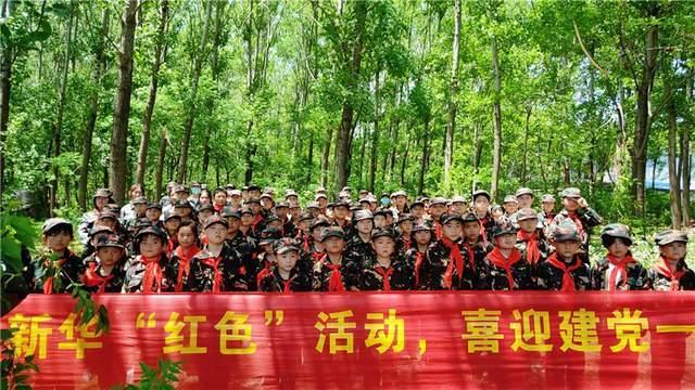 仓鼠能不能吃甘蔗？游戏画面